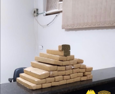 Com ajuda de cães, PM apreende mais de 38 toneladas de maconha
