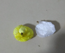Dupla é detida tentando arremessar nove celulares, maconha e cocaína na Cadeia de Marechal Cândido Rondon