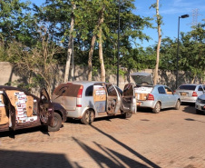 Em um dia, integrantes da operação Hórus fazem apreensões de contrabando avaliados em R$ 10 milhões