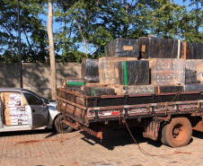 Em um dia, integrantes da operação Hórus fazem apreensões de contrabando avaliados em R$ 10 milhões