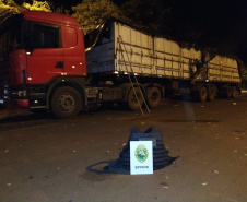Operação Hórus: BPFron apreende mais de R$ 3 milhões em cigarros contrabandeados no Noroeste do Paraná