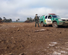 Polícia Ambiental aplica mais de R$ 243 mil em multas por destruição de vegetação nativa no Sudeste do estado