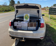 Durante a operação Hórus, BPFron apreende três armas de fogo e mais de 220 quilos de maconha e haxixe