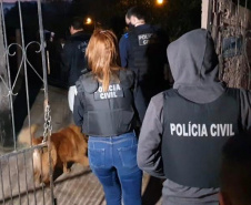 Polícia Civil apreende arma de fogo em ação contra violência doméstica 