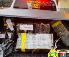 BPRv apreende quase 200 quilos de maconha no norte do Paraná