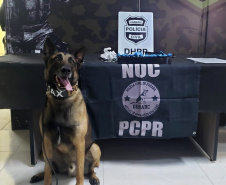 Polícia Civil prende três suspeitos de homicídio ocorrido após festa em motel de Curitiba    
