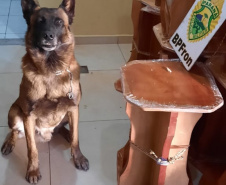 BPFron apreende mais de 42 quilos de maconha em Cascavel (PR) e evita que a droga chegue ao Rio de Janeiro