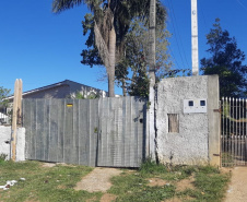 Ação integrada resgata onça-parda encontrada em área residencial de São José dos Pinhais, na RMC