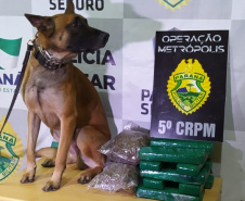 PM encerra segunda edição da Megaoperação Metrópolis com 1,8 toneladas de drogas apreendidas e 255 detidos