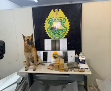 PM apreende 90 pés de maconha e mais de seis quilos prontos para a venda no Butiatuvinha, em Curitiba