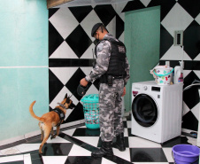 Polícias Civil e Militar prendem 15 envolvidos com tráfico de drogas
