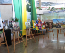 Exposição apresenta obras pintadas por presos de Cascavel
