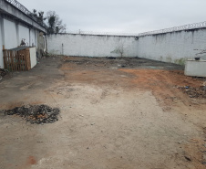 Quase 140 veículos são retirados do pátio da Delegacia de Campo Largo 