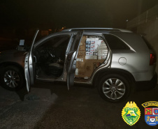 No noroeste do Paraná, PM apreende 170 quilos de maconha, arma e contrabandos