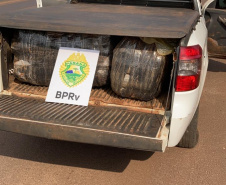 Carro furtado em Joinville (SC) é apreendido pelo BPRv com mais de 100 quilos de Skunk no Oeste do Paraná