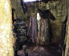 No final de semana, BPAmb-FV apreende arma de fogo, 800 caixas de cigarros contrabandeados e galos de rinha em situações distintas 