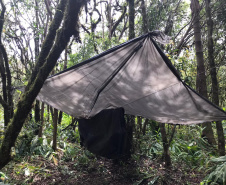  No final de semana, BPAmb-FV apreende arma de fogo, 800 caixas de cigarros contrabandeados e galos de rinha em situações distintas 