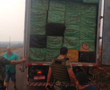  No final de semana, BPAmb-FV apreende arma de fogo, 800 caixas de cigarros contrabandeados e galos de rinha em situações distintas 