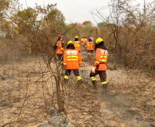 Bombeiros do Paraná completam dez dias de combate a incêndios no Pantanal