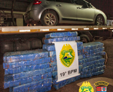 PM apreende quase 900 quilos de maconha no Oeste do estado
