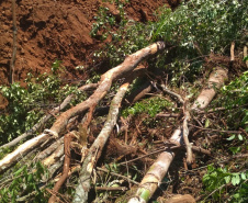 No Sudoeste, PM prende três pessoas por receptação e crime ambiental após denúncias