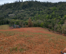 Operação Mata Atlântica em Pé aplica R$ 7,8 milhões em multas