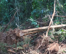 No Sudoeste, PM prende três pessoas por receptação e crime ambiental após denúncias