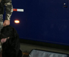  Mulher que levava 19,3 quilos de maconha dentro de ônibus de viagem é presa pela PM em Guarapuava