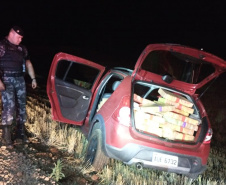 BOPE apreende mais de meia tonelada de maconha e armas durante a Operação Metrópolis