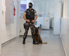 Polícia Científica e BOPE treinam cães de faro para encontrar novas drogas