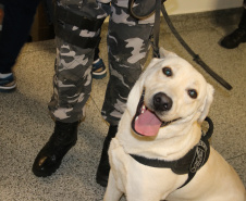 Polícia Científica e BOPE treinam cães de faro para encontrar novas drogas