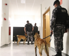 Polícia Científica e BOPE treinam cães de faro para encontrar novas drogas