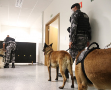 Polícia Científica e BOPE treinam cães de faro para encontrar novas drogas