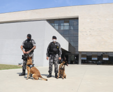 Polícia Científica e BOPE treinam cães de faro para encontrar novas drogas