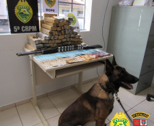 PM apreende 1,1 tonelada de maconha no domingo pela Operação Metrópolis