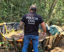 PCPR apreende aproximadamente 100 aves utilizadas em rinhas na RMC