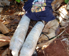 Agentes penitenciários do sudoeste impedem entrada de 1,2 quilos de maconha, celulares e outros ilícitos em unidade penal