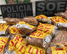Agentes penitenciários do sudoeste impedem entrada de 1,2 quilos de maconha, celulares e outros ilícitos em unidade penal
