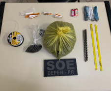SOE apreende menor tentando arremessar drogas para dentro da PEF II