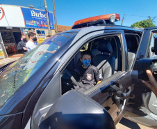 Em Cascavel, agentes do SOE homenageiam criança protetora dos animais e são homenageados pelo garoto