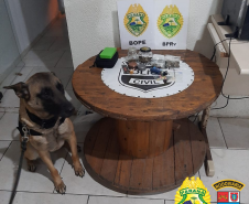 BPRv apreende mais de 380 quilos de maconha e recupera 27 toneladas de arroz durante o feriado de Finados