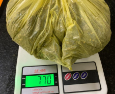 SOE apreende menor tentando arremessar drogas para dentro da PEF II