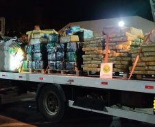 BPFron encontra quatro toneladas de maconha em chácara abandonada em Santa Helena (PR)
