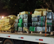 BPFron encontra quatro toneladas de maconha em chácara abandonada em Santa Helena (PR)