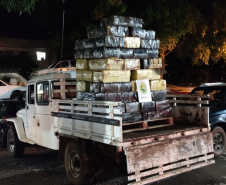 BPFron encontra quatro toneladas de maconha em chácara abandonada em Santa Helena (PR)