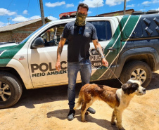 Polícia Civil prende suspeito de maus-tratos em Campo Largo