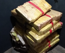 Mais de 200 quilos de maconha são apreendidos pela PM em Campo Mourão 