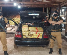 Mais de 200 quilos de maconha são apreendidos pela PM em Campo Mourão 