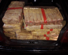 Mais de 200 quilos de maconha são apreendidos pela PM em Campo Mourão 