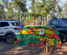 Mais de meia tonelada de maconha é apreendida pelo BPFron no Oeste do estado